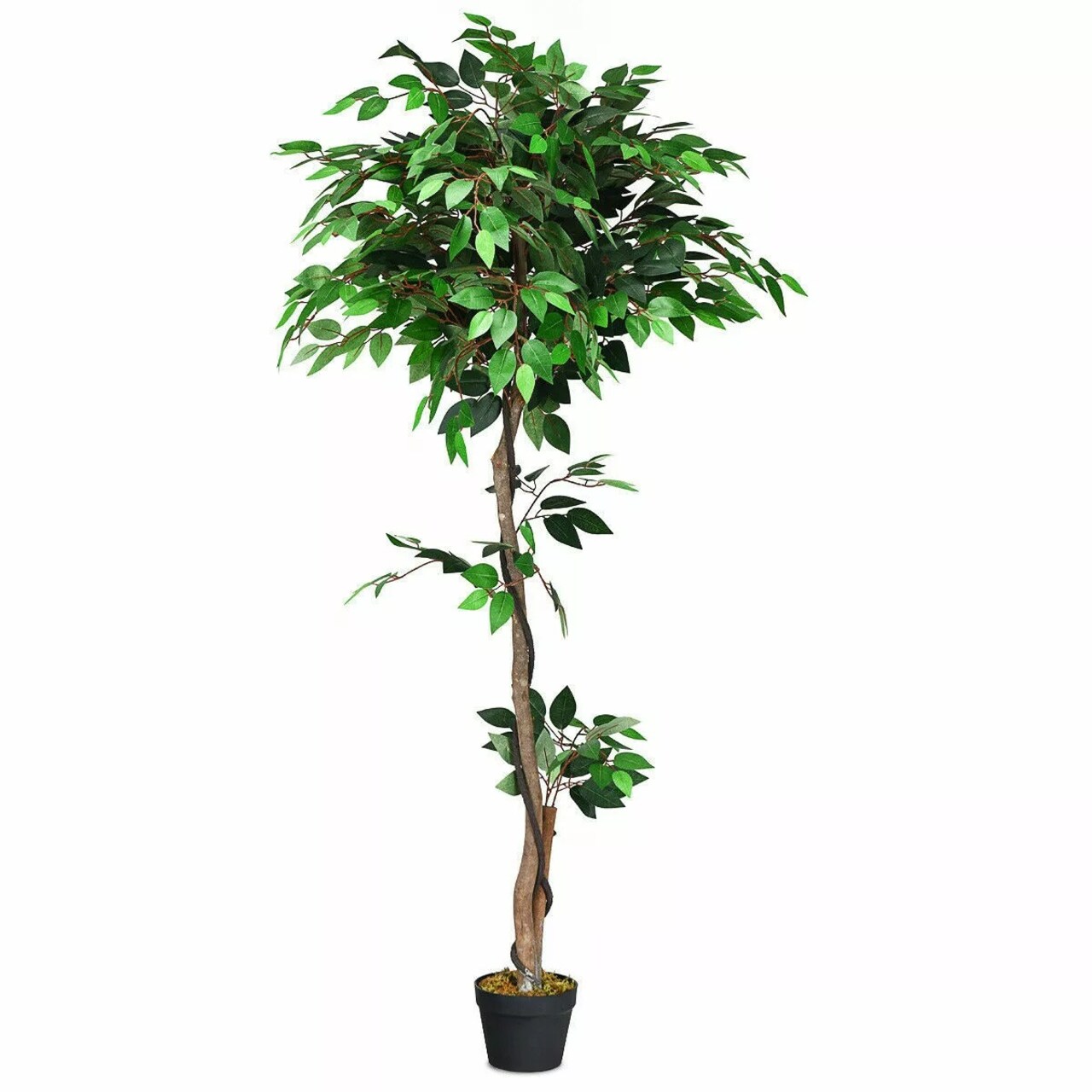 5.5-Feet Artificial Ficus Silk Tree Wood Trunks Green Indoor Yard Home Décor